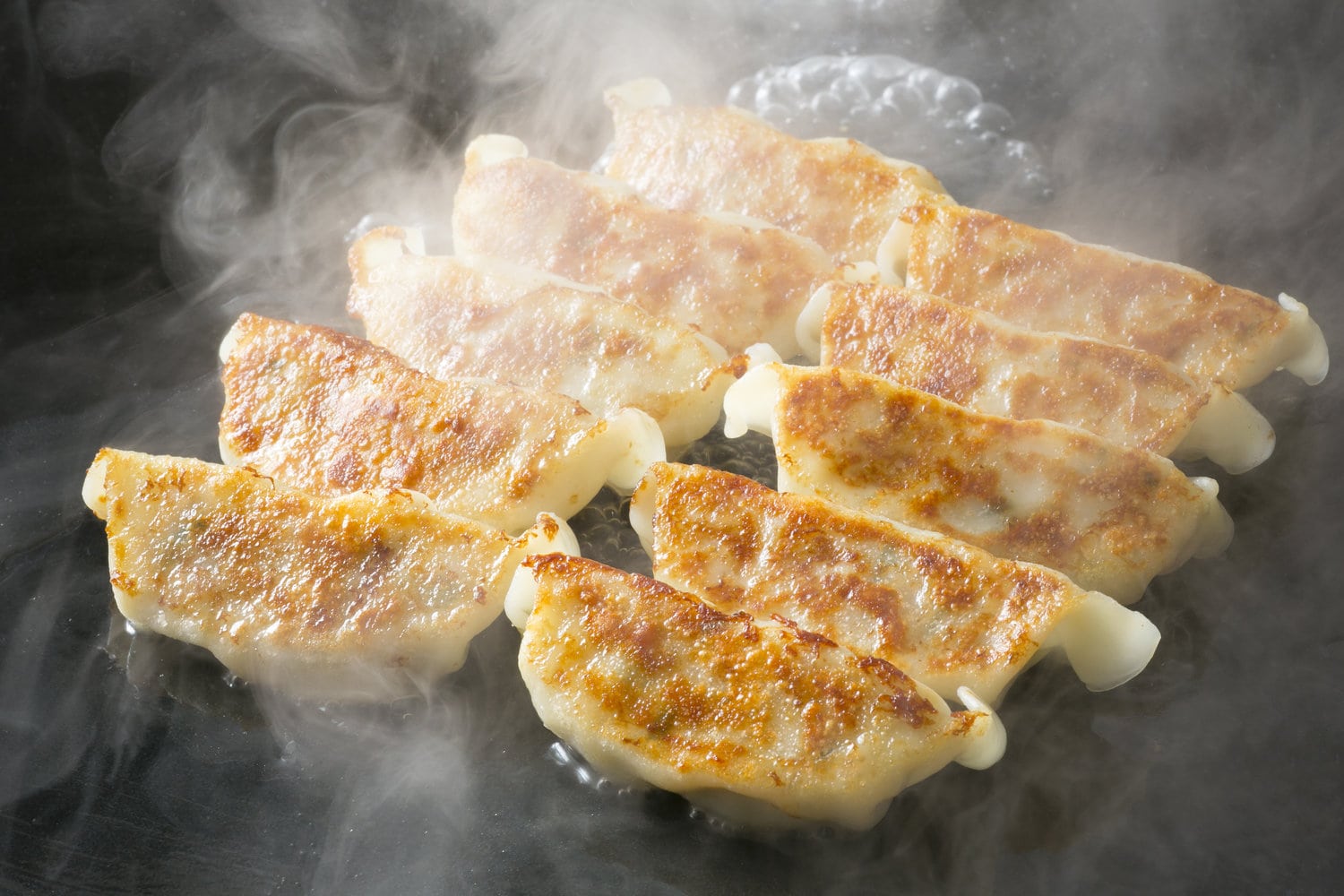 Pork Gyoza