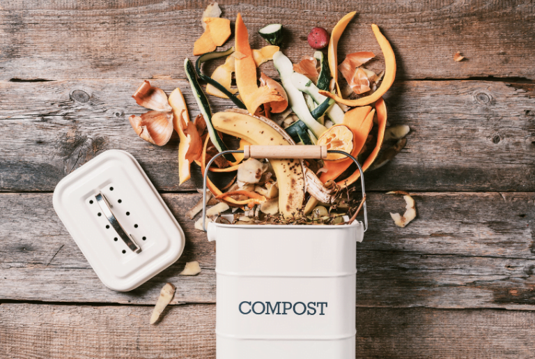 compost bin