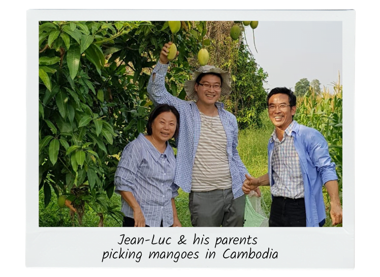 parents and son mango picking